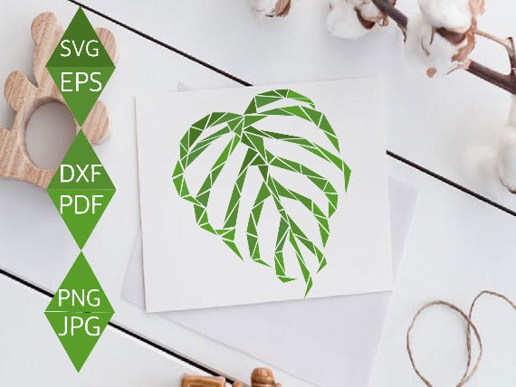 Swiss Cheese Plant Leaf Svg