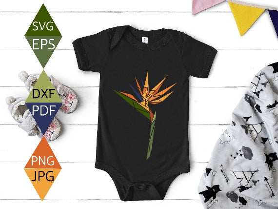 Bird of Paradise flower illustration on onesies