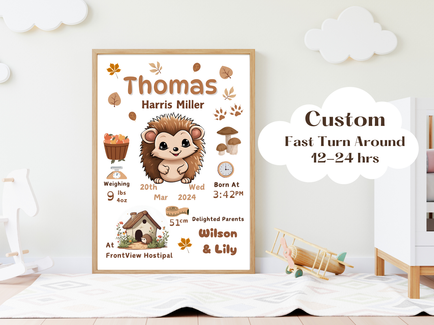 Cute Little Hedgehog New Born Baby Gift