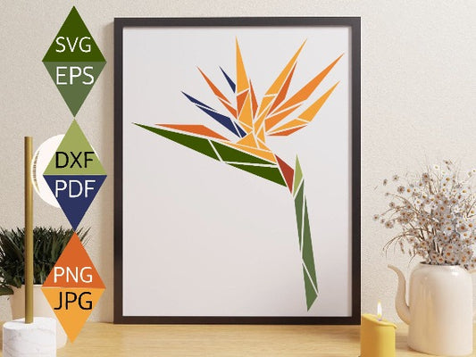 Bird of Paradise flower illustration on black framed wall art