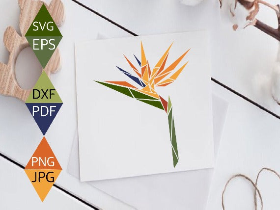 Bird of Paradise flower vector on greeting card