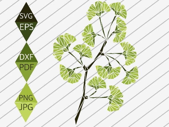 Ginkgo Biloba Leaf Svg