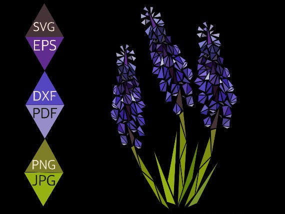 Purple Grape Hyacinth Flower Svg