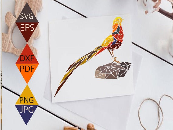 Golden Pheasant Bird SVG