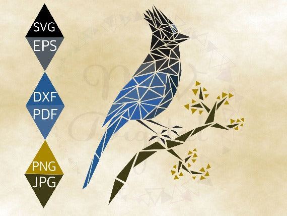 Steller's Jay Bird Svg