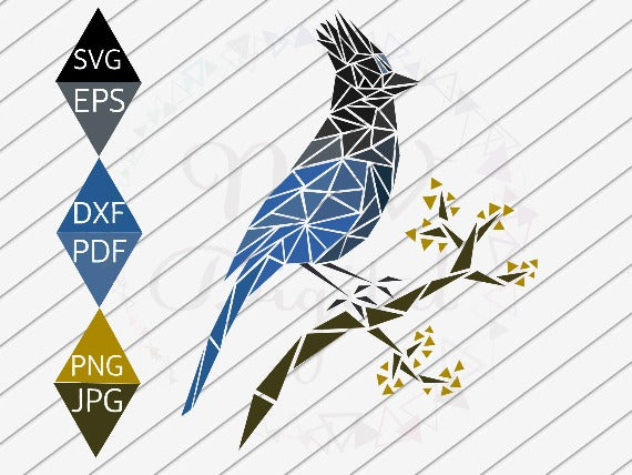 Steller's Jay Bird Svg