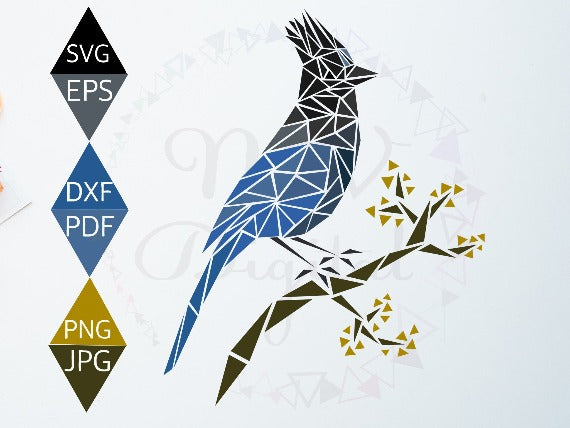 Steller's Jay Bird Svg