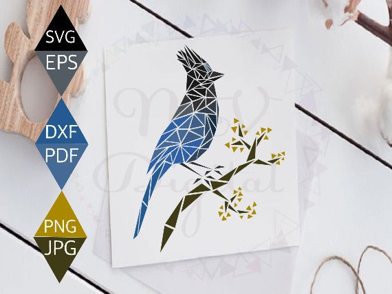 Steller's Jay Bird Svg